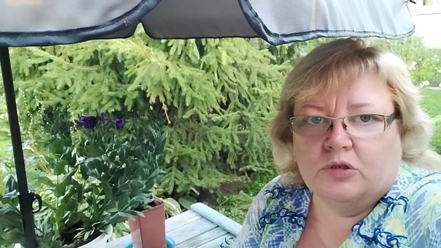 После того,что случилось, просто опускаются руки😢#огородныеворы смотреть онлайн