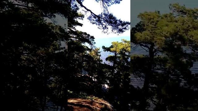 Обзор курорта Ольгинка. Туапсинский район. Агрийский заповедник. смотреть онлайн