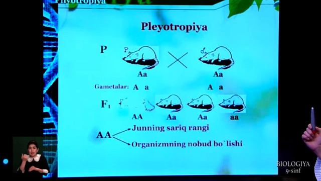 9-синф. 08.04.2020 й. смотреть онлайн