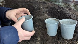 СТАКАНЧИКИ ПОД РАССАДУ