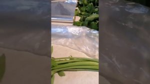 Полюбите сельдерей  и заготовьте его на зиму