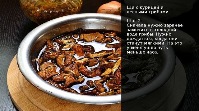 Интересные Факты о Животных