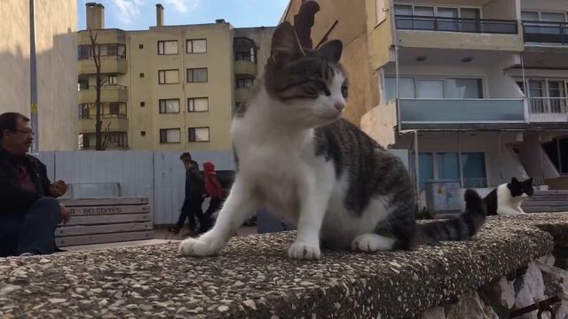 Mudanya Güzelyalı Bursa / Бурса набережная Муданьи