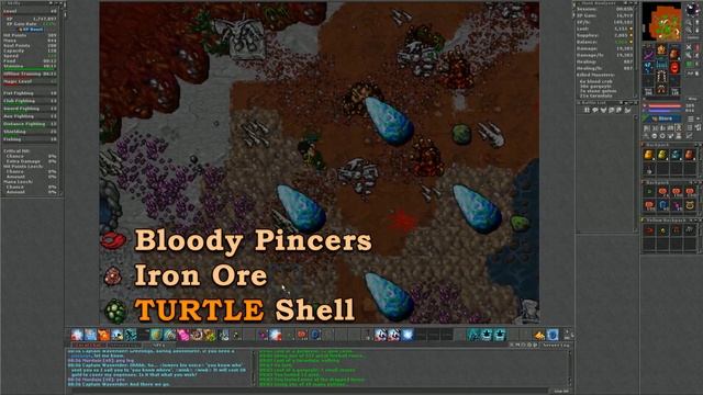 Rush com Profit Mage ou Druid level 30~50 - Gargoyle Sanctuary - Gameplay Tibia Hunts - PT BR смотреть онлайн