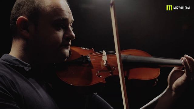 SKRZYPCE STRUNAL VERONA 4/4 4K