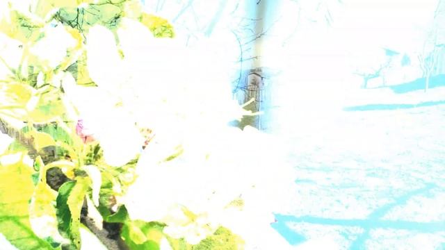 POSTI - CANELLI, AT, 2018 смотреть онлайн