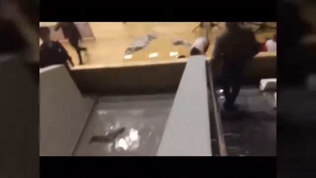 Дворец спорта Олимп город Невинномысск смотреть онлайн