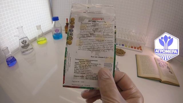 Ипомея Летняя Радость. Ваше Хозяйство смотреть онлайн