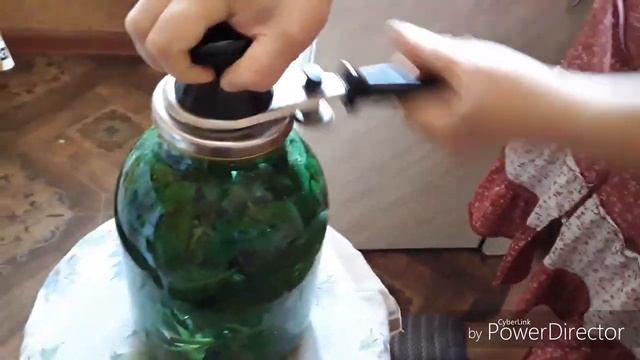 Лечебные свойства и полезные советы