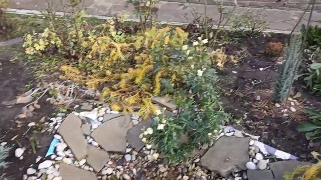 Готовим САД к зиме, последняя/поздняя/обработка ХВОЙНЫХ и укрытие. смотреть онлайн