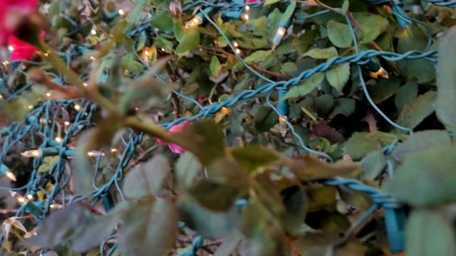 Macbook Air M1 Editing 8k Footage From Samsung Note 20 Ultra