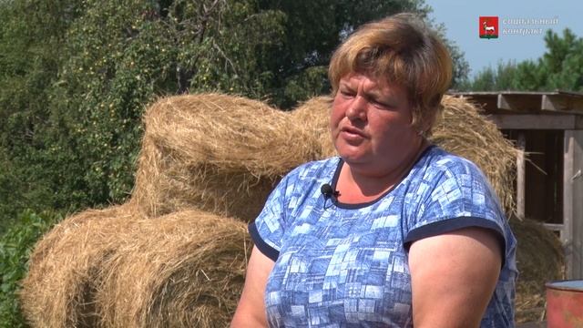 Социальный контракт. Ольга Смирнова смотреть онлайн