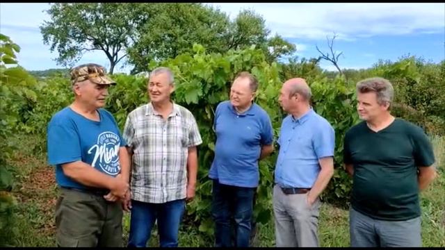 Терещенко смотреть онлайн