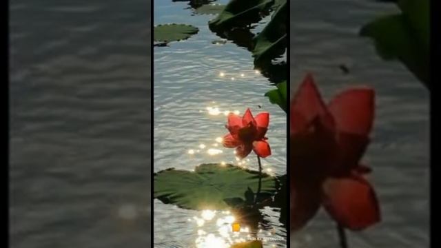Time pass(2) смотреть онлайн