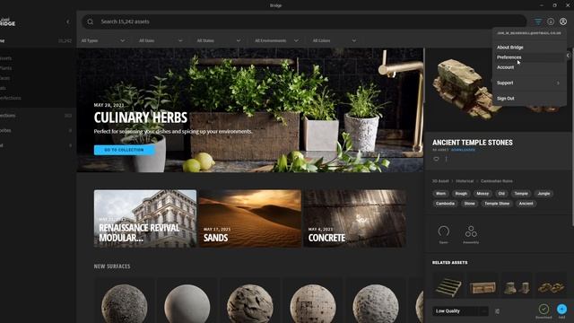 Unreal Engine 5 - Setup & Use Quixel Bridge