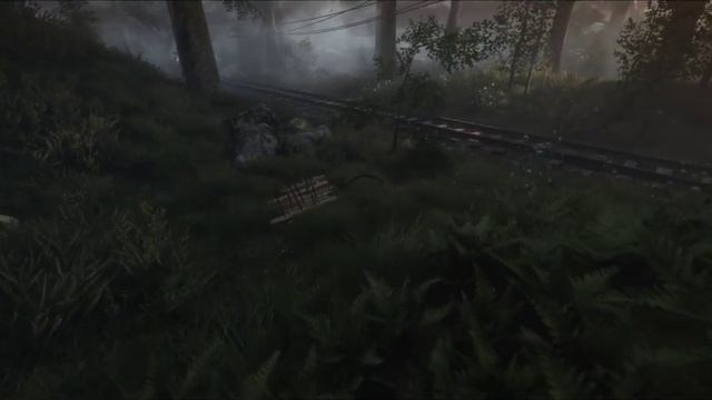 The Vanishing of Ethan Carter - Исчезновение Итана Картера смотреть онлайн
