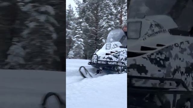 Снегоход PROMAX SNOWBEAR V2 650 2T смотреть онлайн