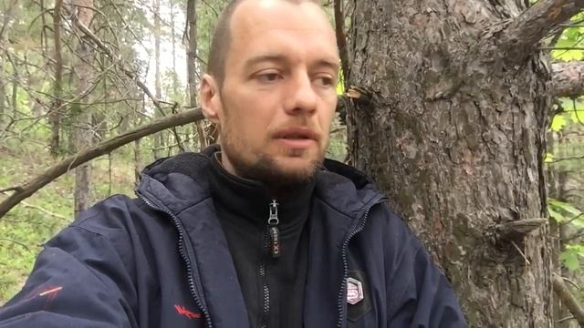 Как работать удалённо • Работа в ЛЕСУ • Работа на природе • Фокусировка • Поток • Поток творчества смотреть онлайн
