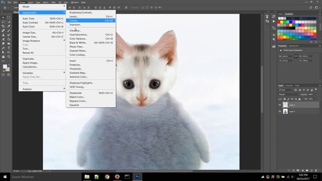 Kitten and Baby Penguin hybrid - Funny Photoshops #14 смотреть онлайн