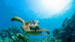 крылатые качели  приключения эликтроникиа караоке