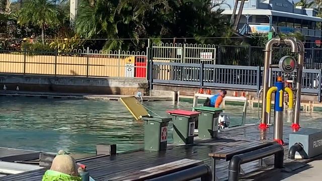 Sea World: Seal Guardians 3 смотреть онлайн