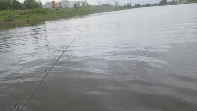 рыбалка на сухоне сезон 2019 часть 1 охота на язя смотреть онлайн