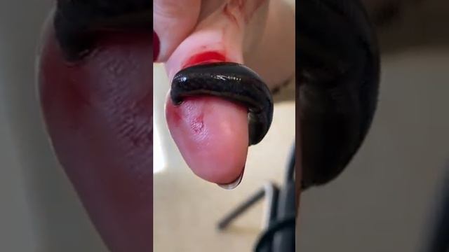 Как работают пиявки смотреть онлайн