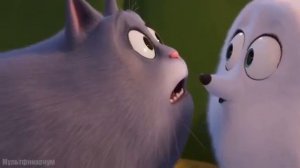 Хлою напоили валерьянкой  / Тайная жизнь домашних животных 2