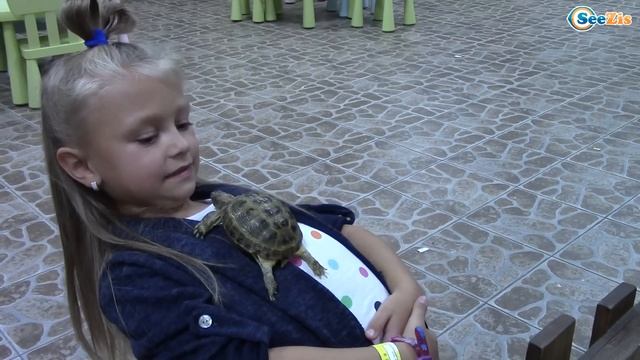 ВЛОГ Контактный Зоопарк для детей. Ярославу ударила Коза / Кормим, гладим, играем с животными смотреть онлайн