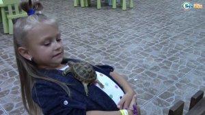 ВЛОГ Контактный Зоопарк для детей. Ярославу ударила Коза / Кормим, гладим, играем с животными