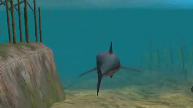 JAWS Unleashed PlayStation 2 Gameplay смотреть онлайн