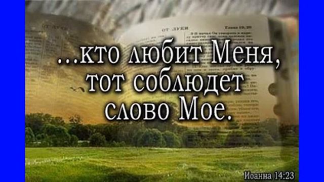 Пророчество ц Мариуполя Ивахненко блажен тот кто стоит в проломах не постыдится смоковниц смотреть онлайн