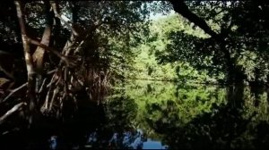 George Michael«Jesus to a Child».mp4