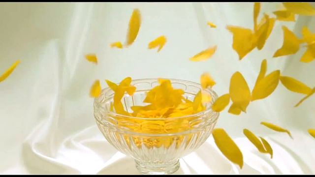 Demo pentru camera Panasonic MD 10000 смотреть онлайн