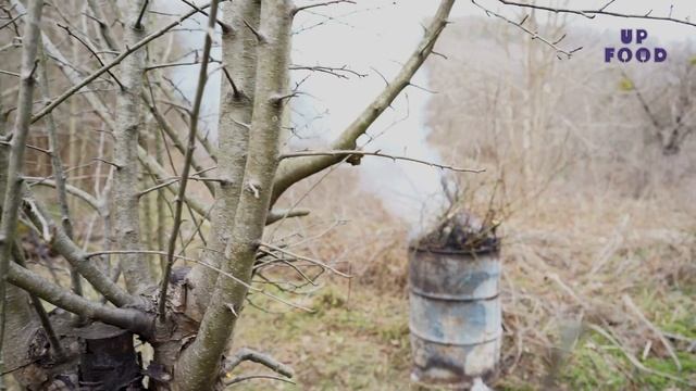 ДАЧА / ЧАСТЬ II / РАСЧИСТКА ЗАБРОШЕННОГО ДАЧНОГО УЧАСТКА. КУПИЛ ЗАБРОШЕННУЮ ДАЧУ. смотреть онлайн