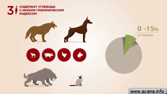 Корм Акана и Ориджен для кошек и собак смотреть онлайн