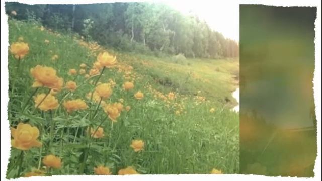 Наталья Бучинская Всё моё твоё смотреть онлайн