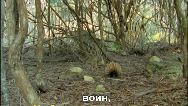 Нежное сердце смотреть онлайн