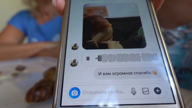 ЖЕНЩИНА ВЫРАСТИЛА 18 см УЛИТКУ ИЗ НАШЕГО ЯЙЦА смотреть онлайн