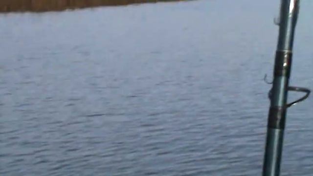 ОТЦЕП.РФ (3) смотреть онлайн