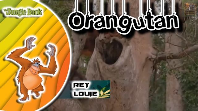 Animales que aparecen en el libro de la selva - UN NIÑO CRIADO POR LOBOS смотреть онлайн