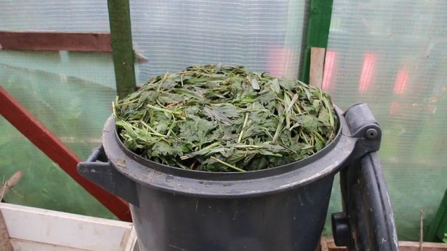 Лучшая подкормка всех огородников, лучшая закваска для растений, био удобрение для дачников. смотреть онлайн