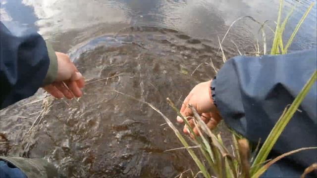 Малые реки Смоленщины. Рыбалка на спиннинг. смотреть онлайн
