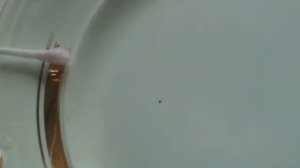 Очень быстрое снятие позолоты с посуды "супергелем"