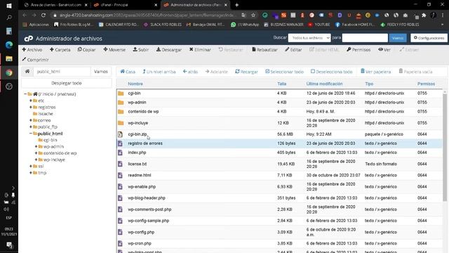 ?¿COMO realizar una【 COPIA DE SEGURIDAD (BACKUP MANUAL)】 en WORDPRESS 2021? || ? FITO ROBLES смотреть онлайн
