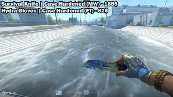 BEST CHEAP CS2 KNIFE & GLOVE COMBOS in 2024 (BUDGET KNIFE + GLOVES COMBO Under 350$)