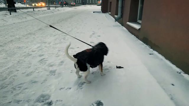 ОДИН ДЕНЬ с Кариной Ланге смотреть онлайн