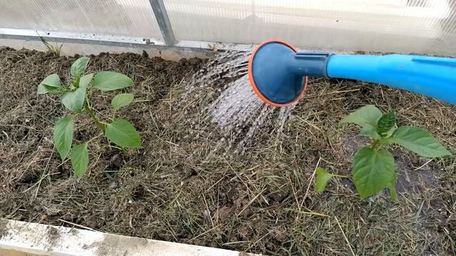 Мульчирование наносит больше вреда чем пользы смотреть онлайн