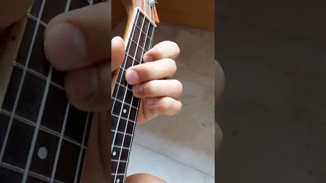 Последняя поэма на укулеле