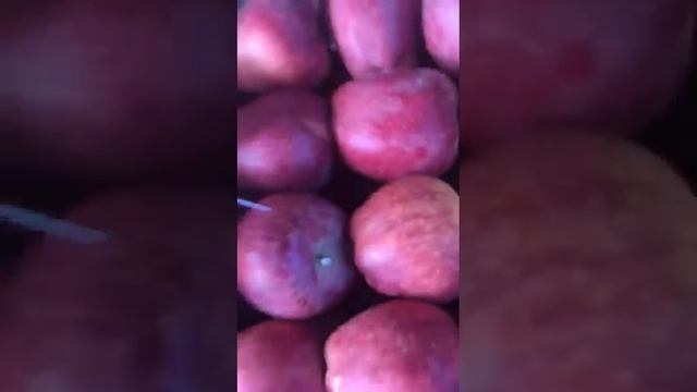 Яблоки ? ред Делишес иран ?? от Марченко смотреть онлайн